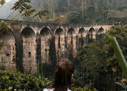 WINGS OF SRI LANKA